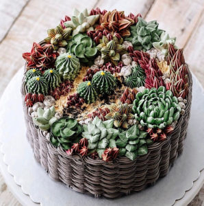 succulent-terrarium-cakes-cupcakes-ivenoven-2-58da6d4cb53f5__700