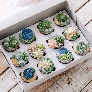 succulent-terrarium-cakes-cupcakes-ivenoven-3-58da6d7773f06__700