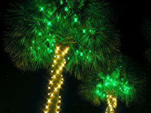 Glowing White and Green Electric Lights adorn palm trees at night